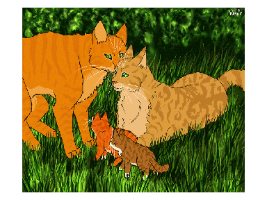 Warriors: Firestar and Sandstorm with their kits