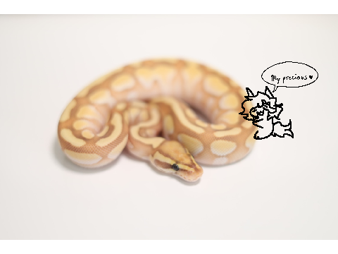 I got a snake :0000