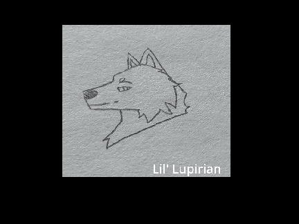 Test Animation