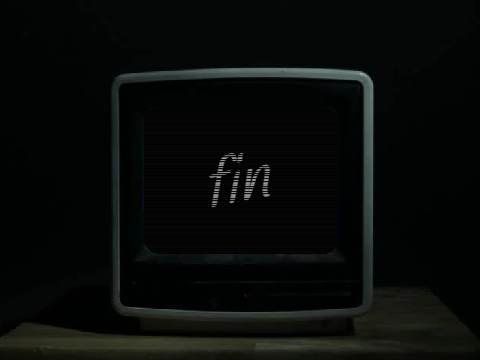 fin
