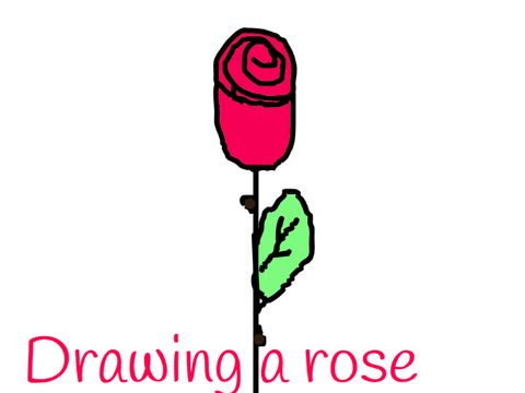 How to Draw a Rose