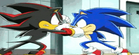 ||Fighting|| Sonic X