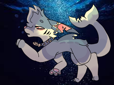 Shark DTAE 