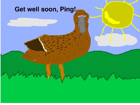 For Ping :D