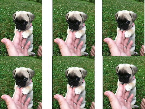 Cuteness : )