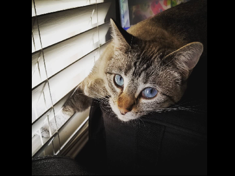 ~ Madi ~