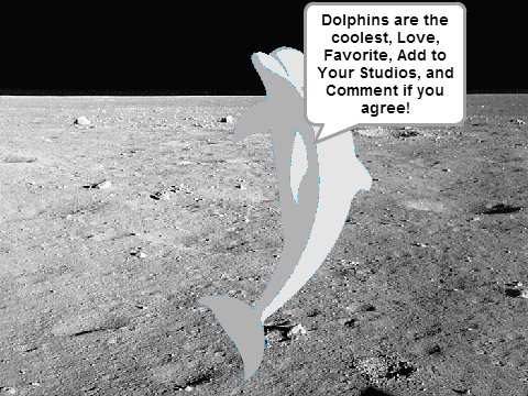Scratch Games Challenge 1: Response, Dolphins are the Coolest