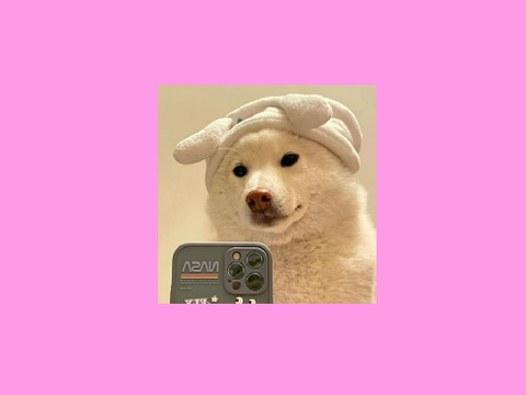 Puppy Princess~Hot Freaks
