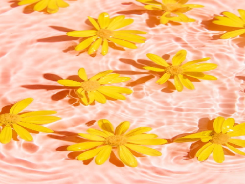 ツ