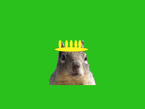 The King