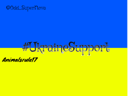 Sign if you support Ukraine remix