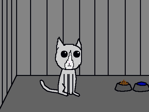 adoption cat