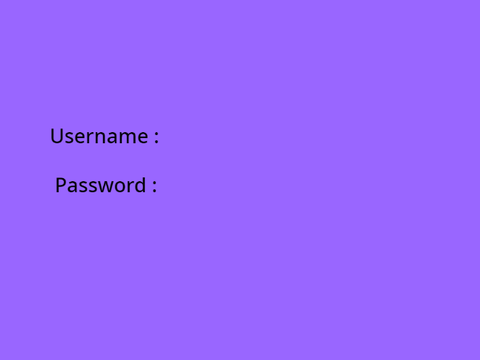 Computer simulator