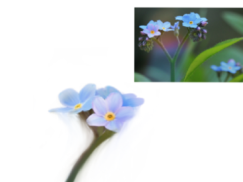 Plants || Realism Attempt?