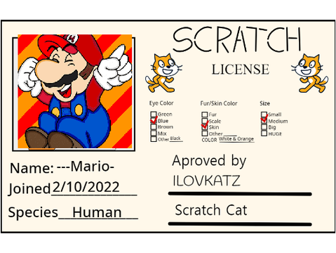 Make Your Own Scratch License remix-2