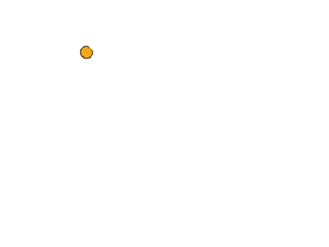 orange snek