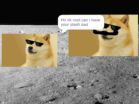 doge meme