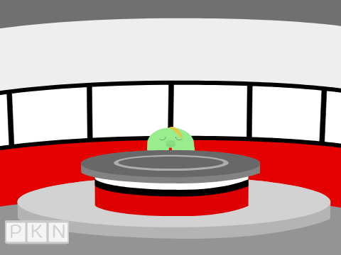 PKN studios