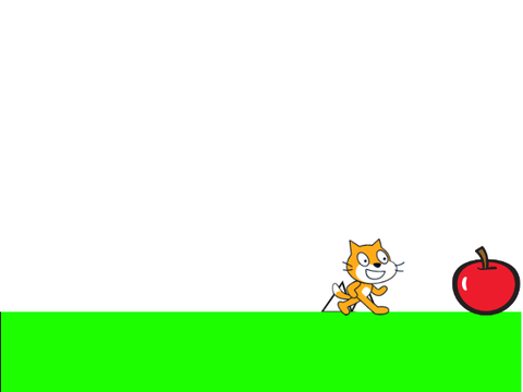 Cat run
