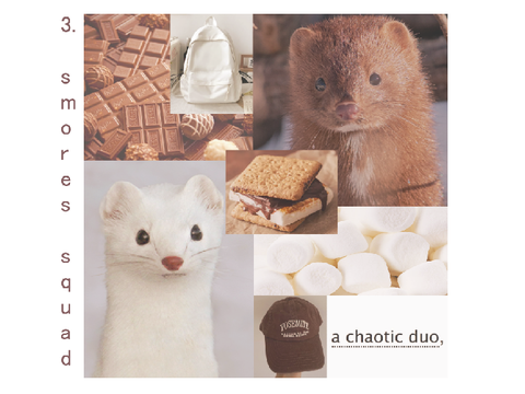 └➤ aesthetic adopts 2 entry ·₊˚