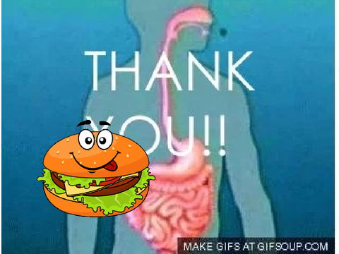 Digestive system 