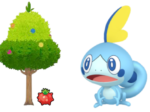 When sobble finds a berry