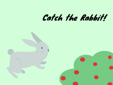 Catch the Rabbit!