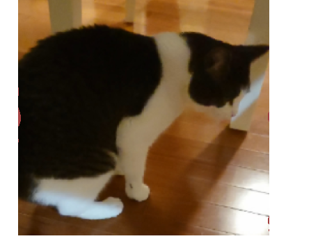 vibingcat.exe #all