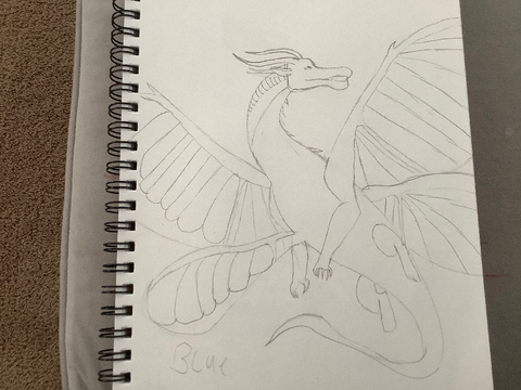 WINGS OF FIRE DRAWING CONTEST!!!! - READ IN THE DISCRPTION AND PROJECT remix-2