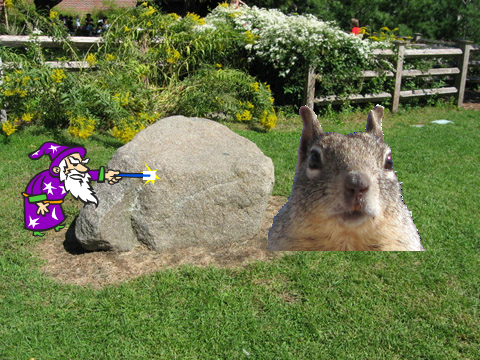 Wizards Rath!