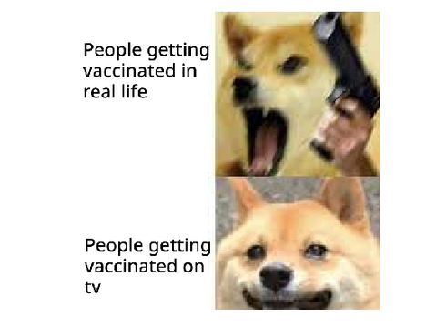 Vaccination meme