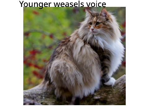 NEW ALBUM OF WEASEL AND THE GANG