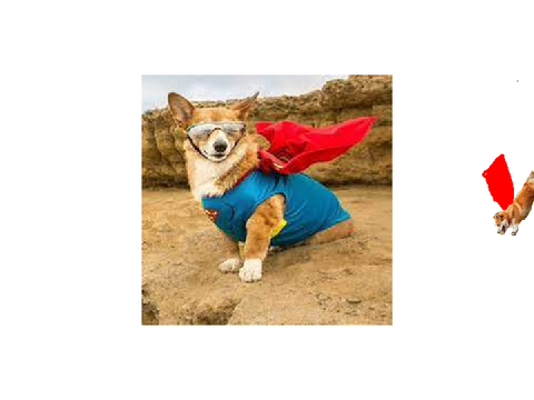 corgi flying game
