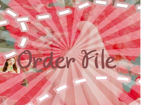 010: -- Order File --