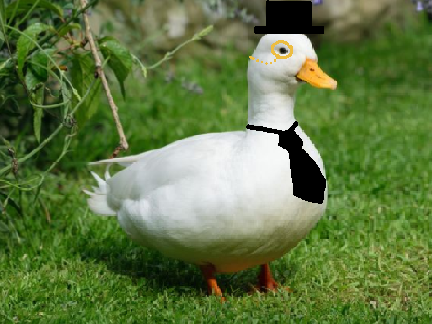He's a dapper fellow