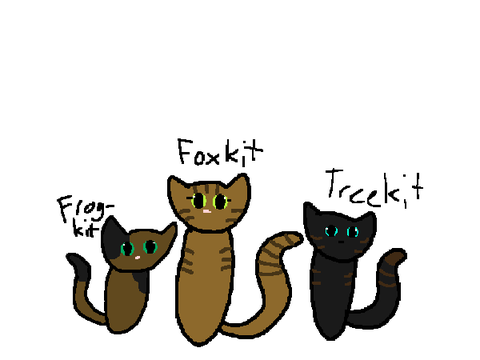 Leafdrops Kits!
