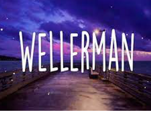 The wellerman song(sea shanty) remix