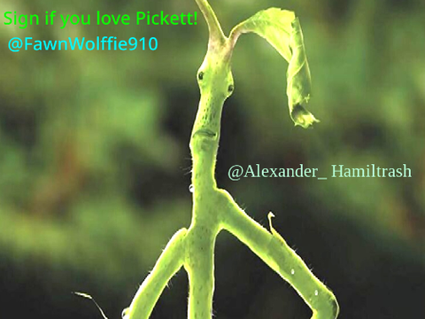 Sign if you love Pickett from Fantastic Beasts! remix
