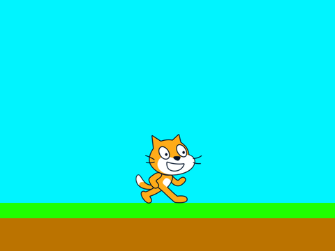 MrScratch Cat