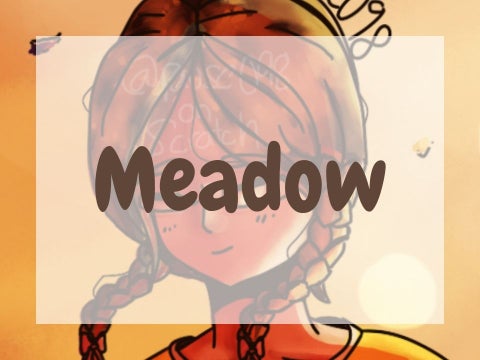 Meadow - DMCE + Process :0