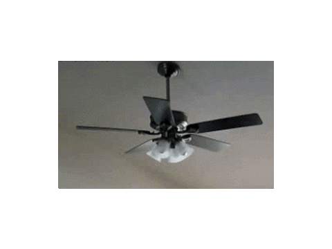 MY CURSED CELLING FAN