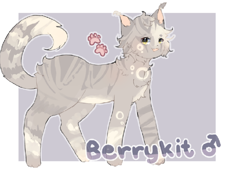 Blitz Eclipse Litter 2 - Memories