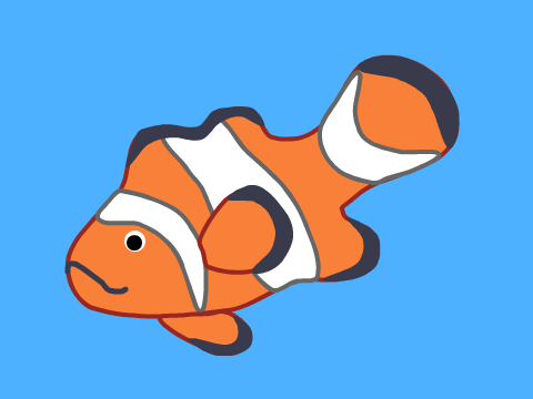 Clownfish Drawing