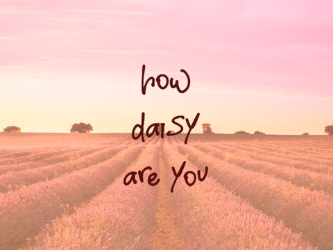 how daisy are you? remix