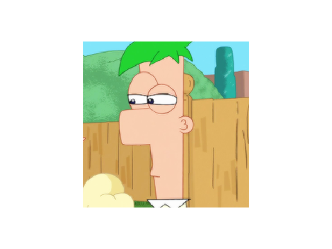 Phineas & Ferb Matching Pfps