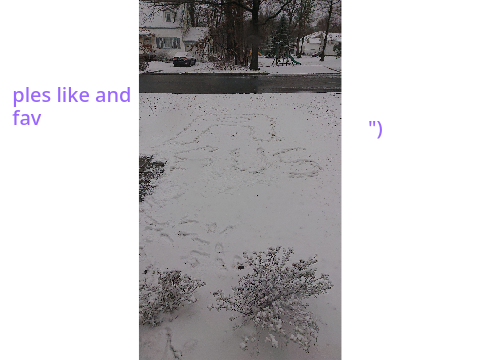 Every time It snows I get this in the front yard
