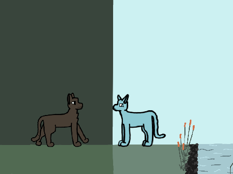 For @500-cats