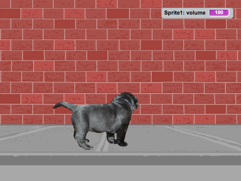 dancing dog