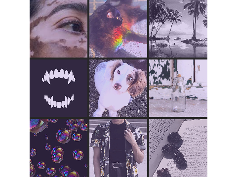 ⤷ moodboards