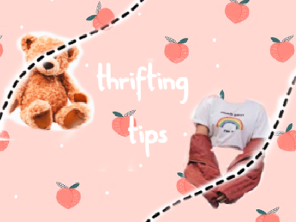   ☁ thrifting tips ☁